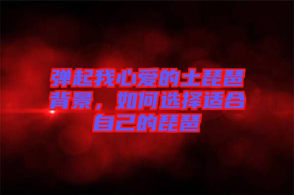彈起我心愛的土琵琶背景，如何選擇適合自己的琵琶