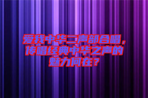 愛我中華二聲部合唱，傳唱經(jīng)典中華之聲的魅力何在？