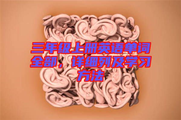 三年級上冊英語單詞全部，詳細(xì)列及學(xué)習(xí)方法