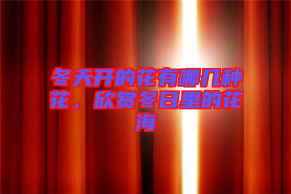 冬天開的花有哪幾種花，欣賞冬日里的花海