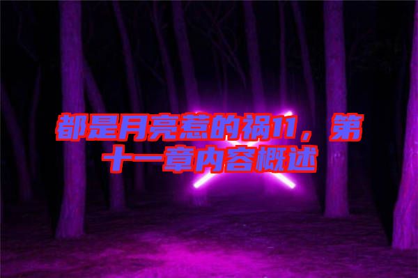 都是月亮惹的禍11，第十一章內(nèi)容概述