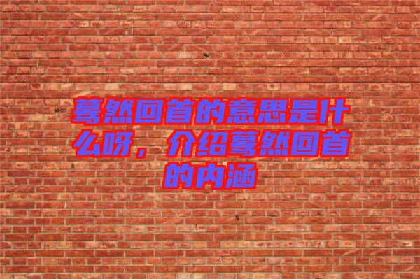 驀然回首的意思是什么呀，介紹驀然回首的內(nèi)涵
