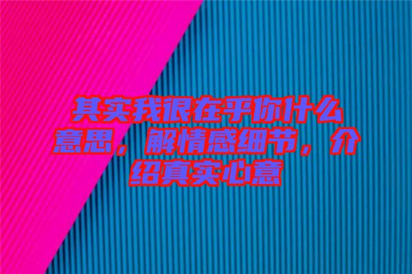 其實我很在乎你什么意思，解情感細節(jié)，介紹真實心意