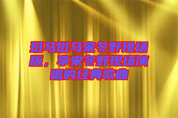 斑馬斑馬宋冬野現(xiàn)場(chǎng)版，享宋冬野現(xiàn)場(chǎng)演唱的經(jīng)典歌曲