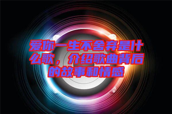 愛你一生不舍棄是什么歌，介紹歌曲背后的故事和情感