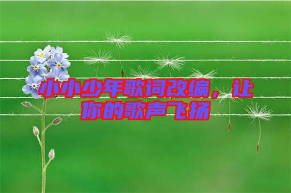 小小少年歌詞改編，讓你的歌聲飛揚(yáng)