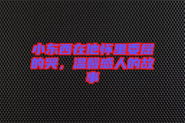 小東西在他懷里委屈的哭，溫馨感人的故事