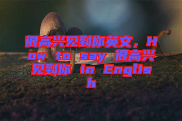 很高興見到你英文，How to say 很高興見到你 in English