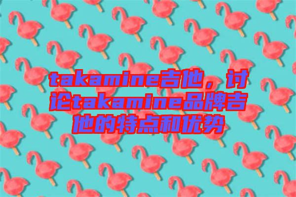 takamine吉他，討論takamine品牌吉他的特點(diǎn)和優(yōu)勢(shì)