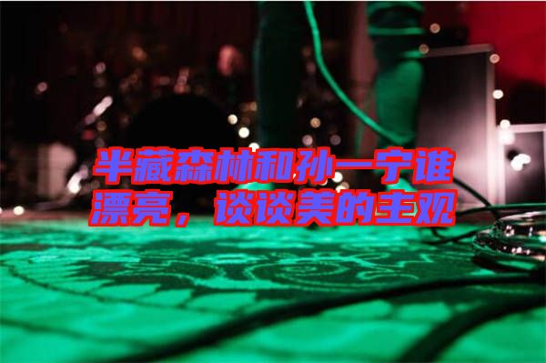 半藏森林和孫一寧誰漂亮，談?wù)劽赖闹饔^