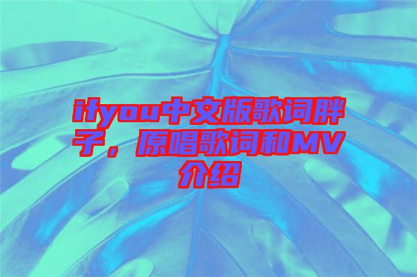 ifyou中文版歌詞胖子，原唱歌詞和MV介紹