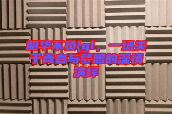 韶華不負(fù)(gl，一場(chǎng)關(guān)于青春與夢(mèng)想的深情演繹
