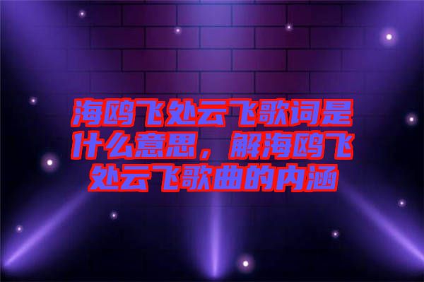 海鷗飛處云飛歌詞是什么意思，解海鷗飛處云飛歌曲的內(nèi)涵