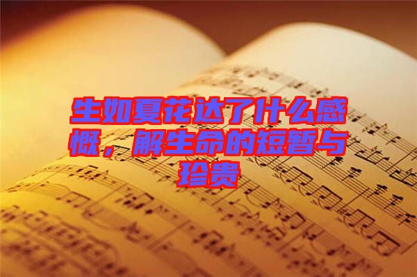 生如夏花達了什么感慨，解生命的短暫與珍貴