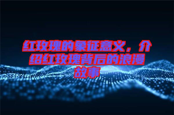 紅玫瑰的象征意義，介紹紅玫瑰背后的浪漫故事