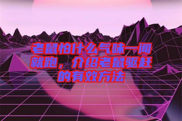 老鼠怕什么氣味一聞就跑，介紹老鼠驅(qū)趕的有效方法