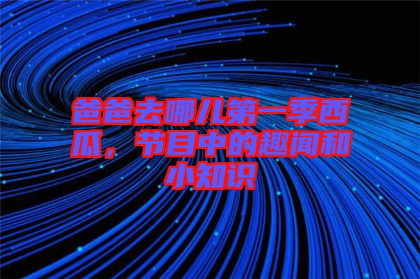 爸爸去哪兒第一季西瓜，節(jié)目中的趣聞和小知識
