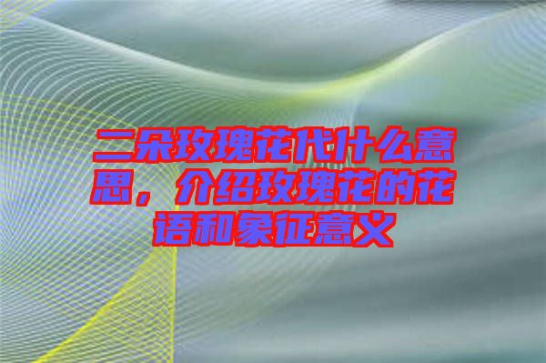 二朵玫瑰花代什么意思，介紹玫瑰花的花語和象征意義