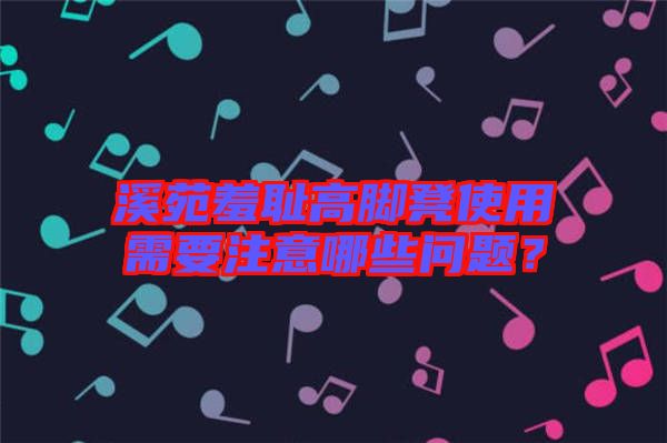 溪苑羞恥高腳凳使用需要注意哪些問題？