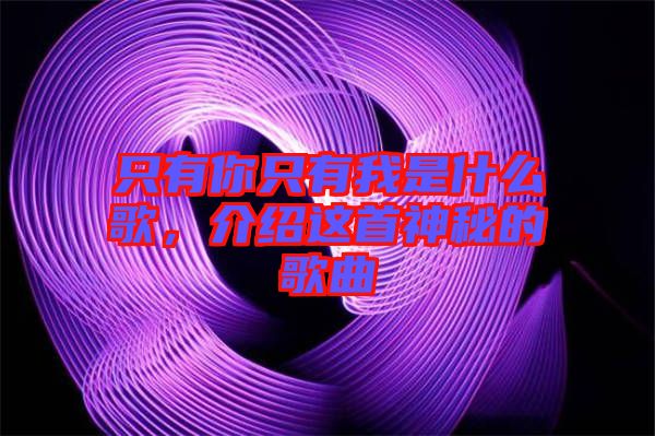 只有你只有我是什么歌，介紹這首神秘的歌曲