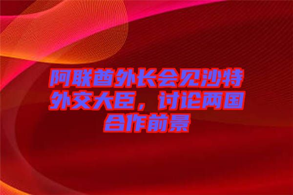 阿聯(lián)酋外長會見沙特外交大臣，討論兩國合作前景