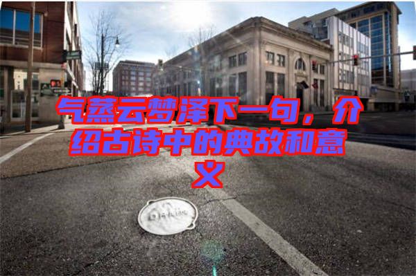 氣蒸云夢澤下一句，介紹古詩中的典故和意義