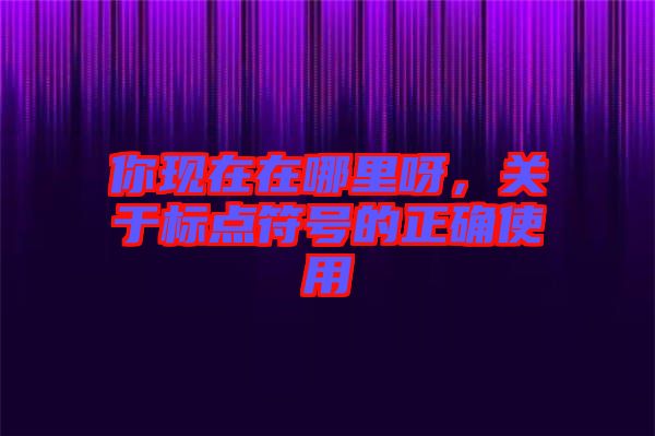 你現(xiàn)在在哪里呀，關(guān)于標(biāo)點(diǎn)符號(hào)的正確使用