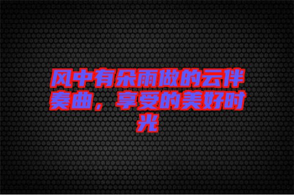 風(fēng)中有朵雨做的云伴奏曲，享受的美好時(shí)光