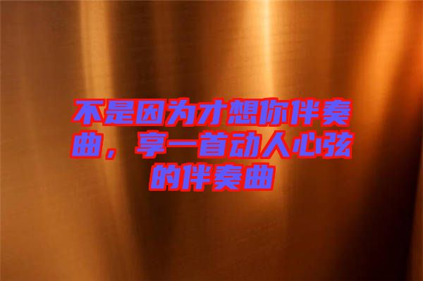 不是因為才想你伴奏曲，享一首動人心弦的伴奏曲