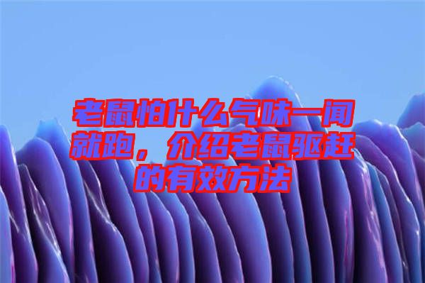 老鼠怕什么氣味一聞就跑，介紹老鼠驅趕的有效方法