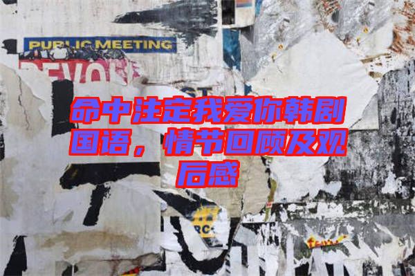 命中注定我愛你韓劇國(guó)語(yǔ)，情節(jié)回顧及觀后感