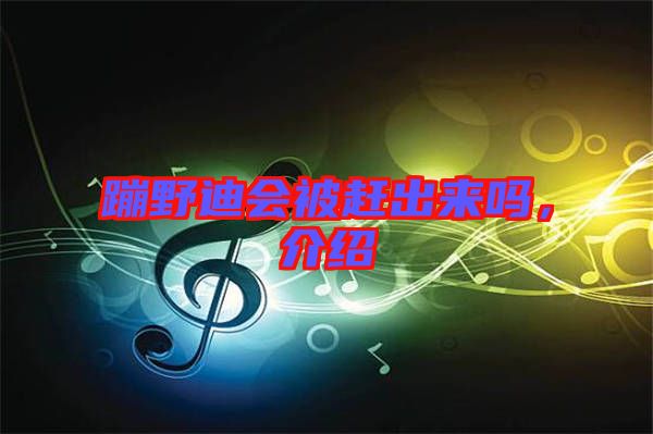 蹦野迪會(huì)被趕出來嗎，介紹
