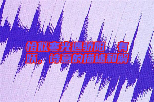 恰似寒光遇驕陽囧囧有妖，詩意的描述和解