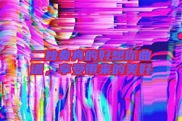 二獨(dú)奏真的好想你曲譜，享受帶來的美好