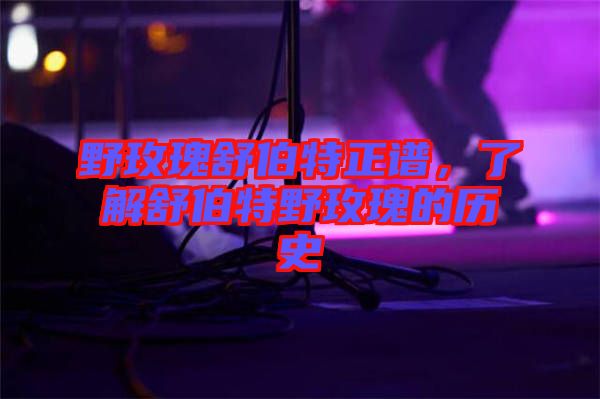 野玫瑰舒伯特正譜，了解舒伯特野玫瑰的歷史