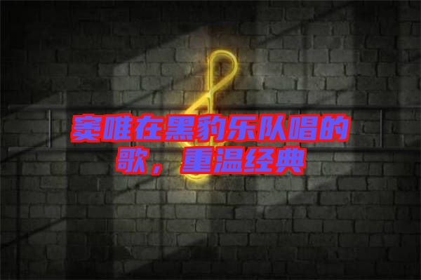 竇唯在黑豹樂隊(duì)唱的歌，重溫經(jīng)典