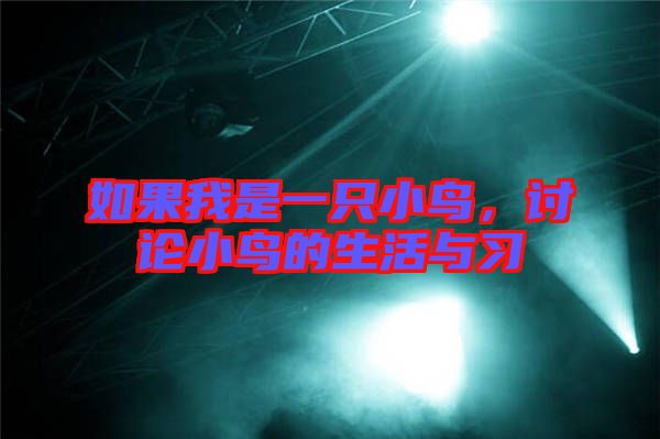 如果我是一只小鳥，討論小鳥的生活與習(xí)