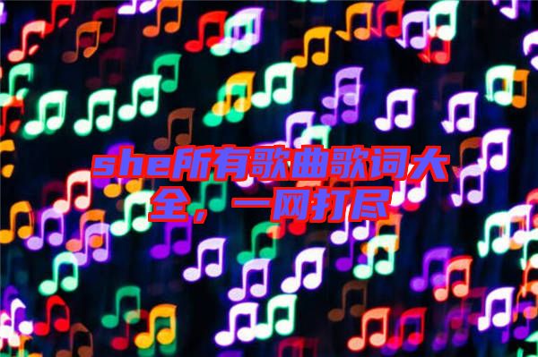 she所有歌曲歌詞大全，一網(wǎng)打盡
