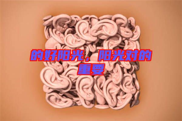 的好陽(yáng)光，陽(yáng)光對(duì)的重要