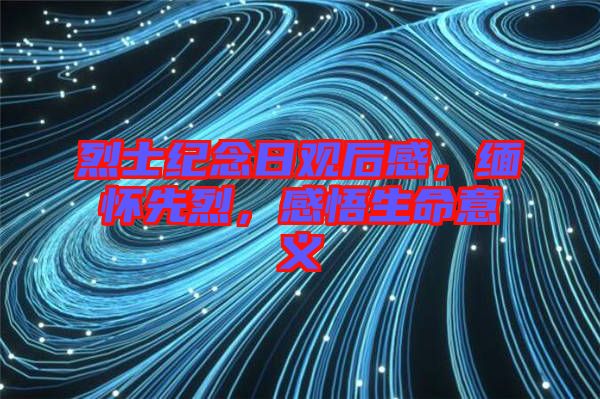 烈士紀(jì)念日觀后感，緬懷先烈，感悟生命意義