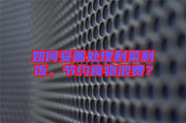 如何妥善處理剩菜剩飯，節(jié)約食物浪費(fèi)？