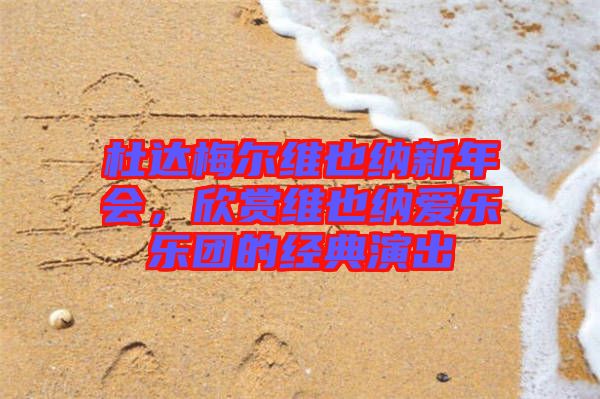 杜達(dá)梅爾維也納新年會(huì)，欣賞維也納愛(ài)樂(lè)樂(lè)團(tuán)的經(jīng)典演出