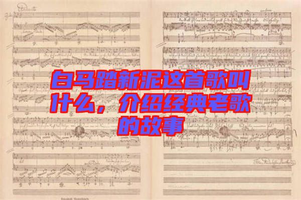 白馬踏新泥這首歌叫什么，介紹經(jīng)典老歌的故事