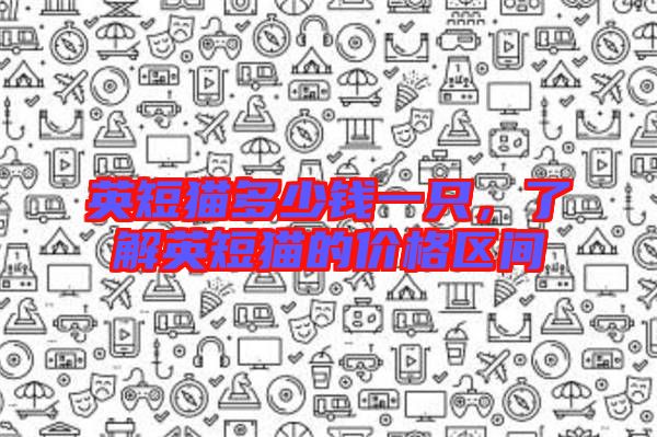 英短貓多少錢一只，了解英短貓的價(jià)格區(qū)間