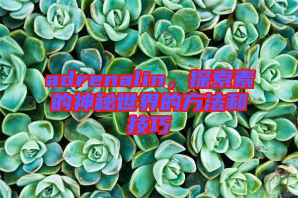 adrenalin，探索素的神秘世界的方法和技巧
