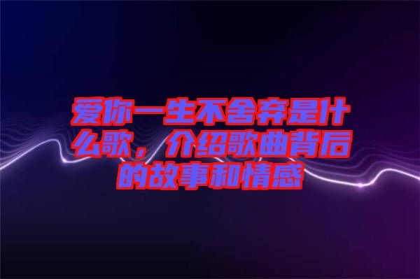 愛你一生不舍棄是什么歌，介紹歌曲背后的故事和情感