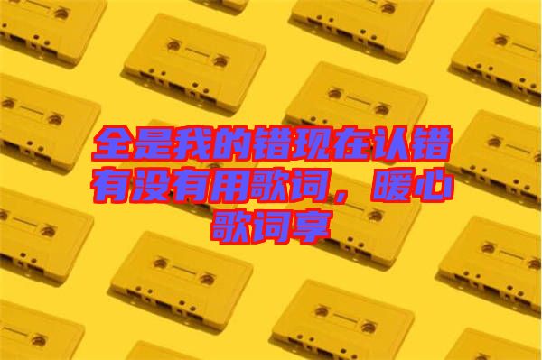 全是我的錯現(xiàn)在認(rèn)錯有沒有用歌詞，暖心歌詞享