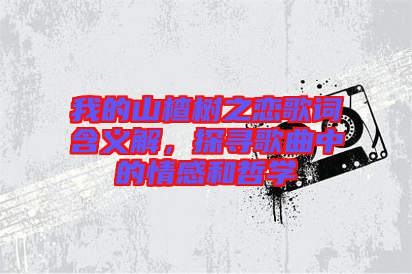 我的山楂樹之戀歌詞含義解，探尋歌曲中的情感和哲學