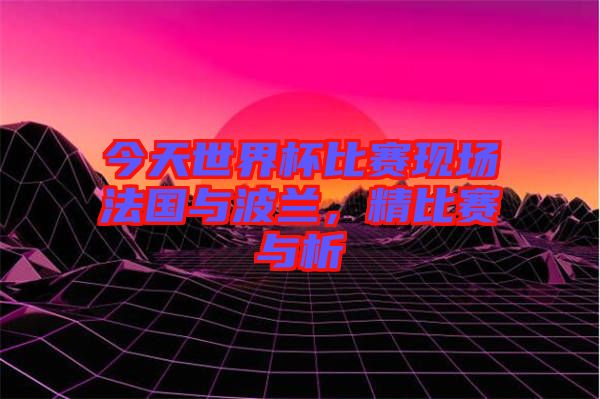 今天世界杯比賽現(xiàn)場法國與波蘭，精比賽與析