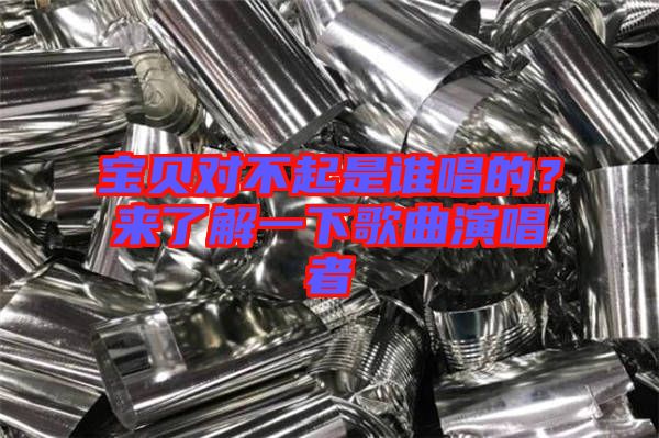 寶貝對不起是誰唱的？來了解一下歌曲演唱者